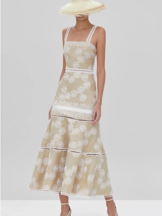 Alexis Dresses & Skirts - Alexis Delanna Ladder-stitch Mermaid Dress In Beige Embroidery Size Small